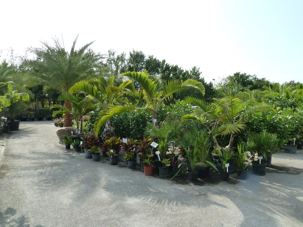 Professional lawn mowing service in Cape Coral, FL by Danny Yates Landscape Nursery