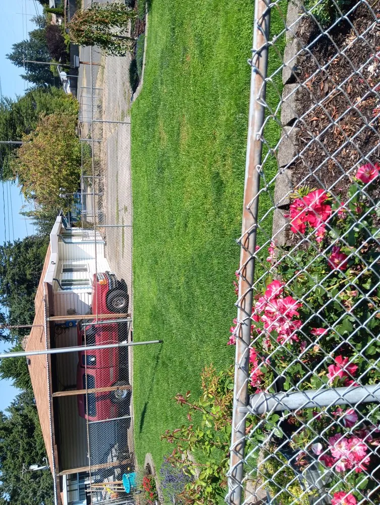 Local yard maintenance near you across Parkland, WA - Danny's Affordable Yard Care and Maintenance
