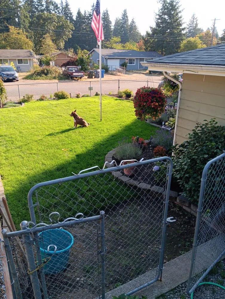 Affordable lawn care service with custom design across Parkland, WA - Danny's Affordable Yard Care and Maintenance