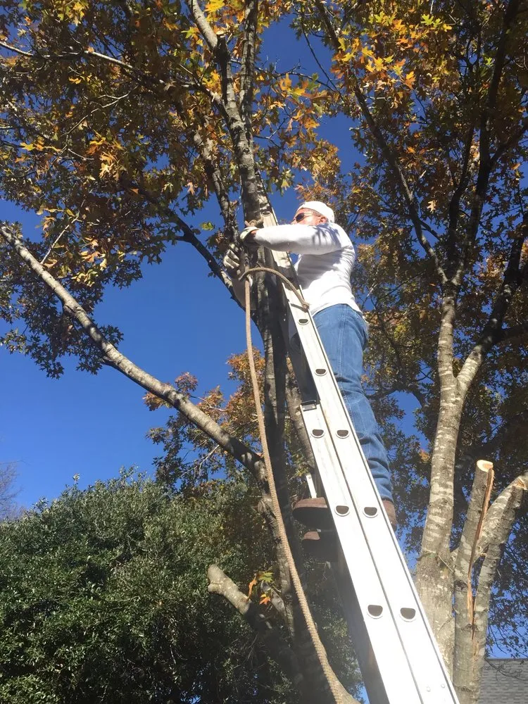 Reliable landscaping services in Dallas, TX by Danny's Custom Landscaping & Woodchuck Firewood