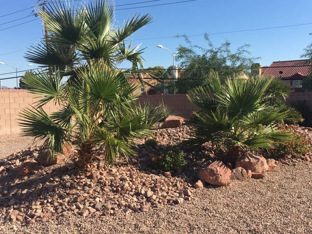 Trusted landscape installation for year-round maintenance across Henderson, NV - Danny's Home & Garden Services