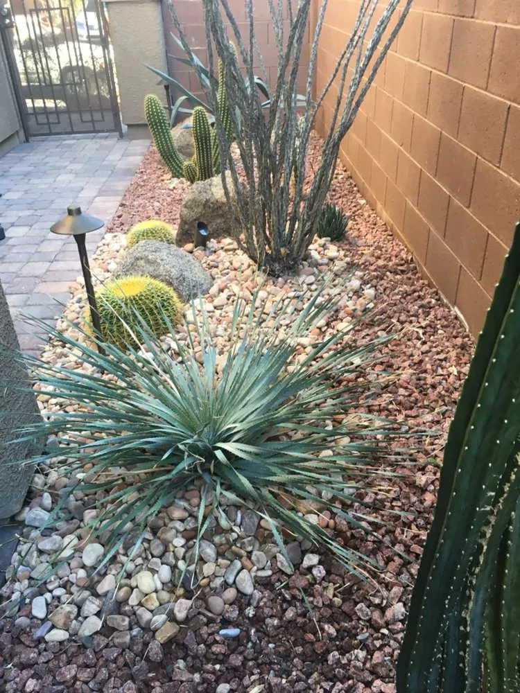 Expert landscaping services in Henderson, NV by Danny's Home & Garden Services