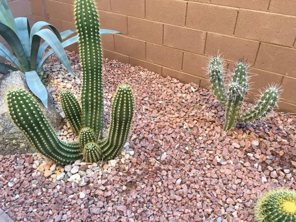Trusted landscape installation in Henderson, NV by Danny's Home & Garden Services
