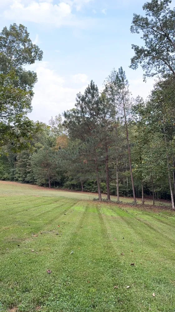 Expert residential landscaping in Palmyra, VA - Danny’s land
