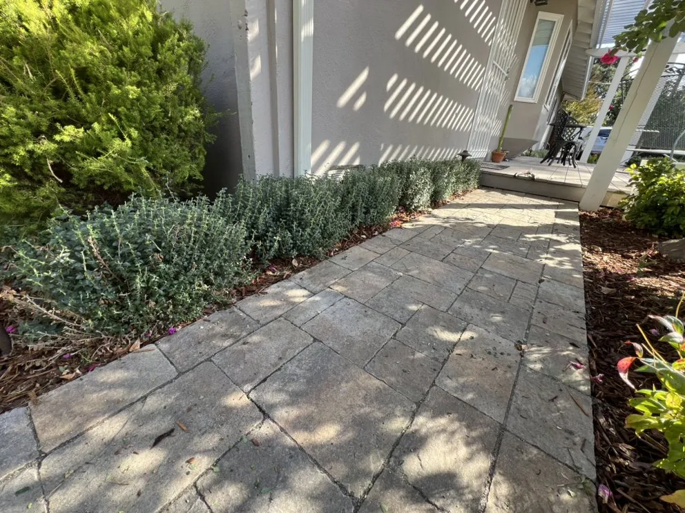Expert landscape installation experts serving Pittsburg, CA - Danny’s Land Services