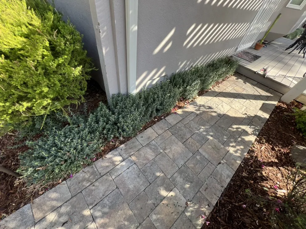 Top-rated lawn mowing service in Pittsburg, CA - Danny’s Land Services