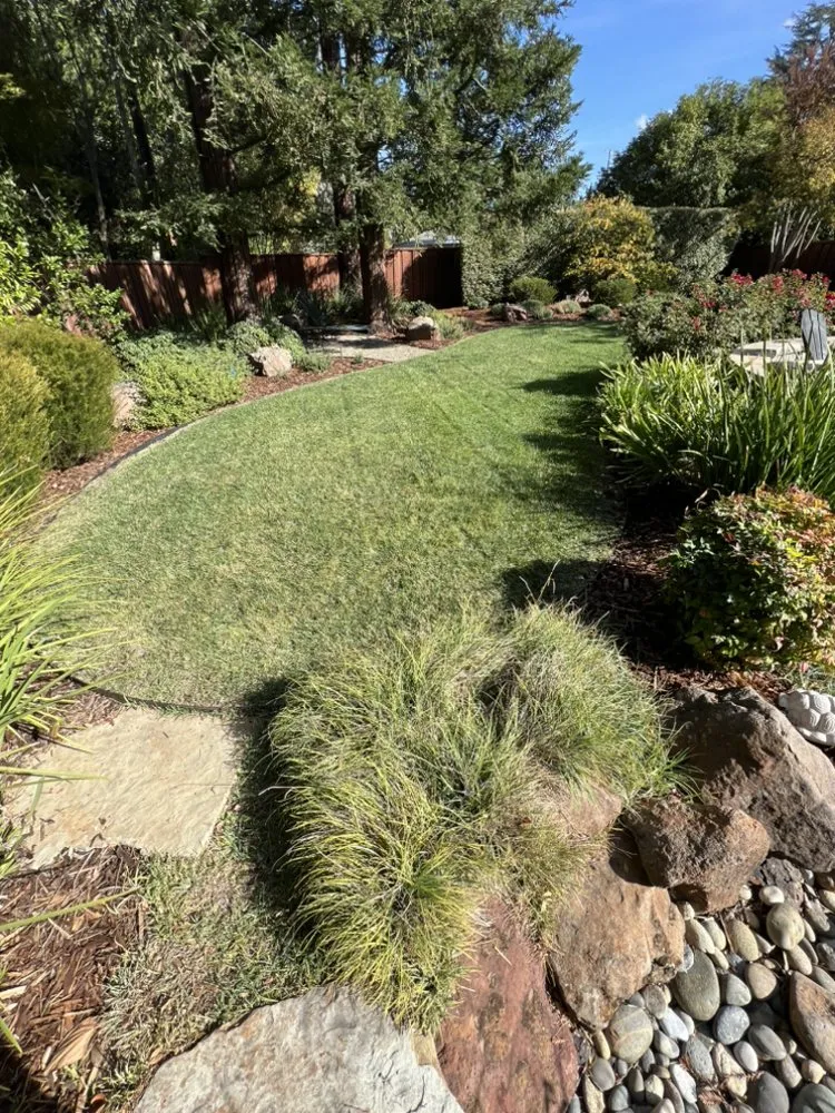 Reliable landscape installation in Pittsburg, CA by Danny’s Land Services