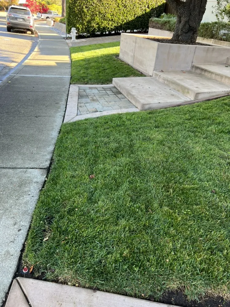 Local landscape design in Pittsburg, CA by Danny’s Land Services