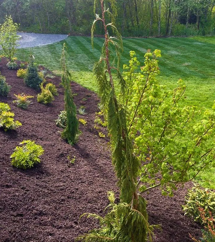 Professional garden landscaping for beautiful yards across Monroe, WA - Danny's Landscape & Construction