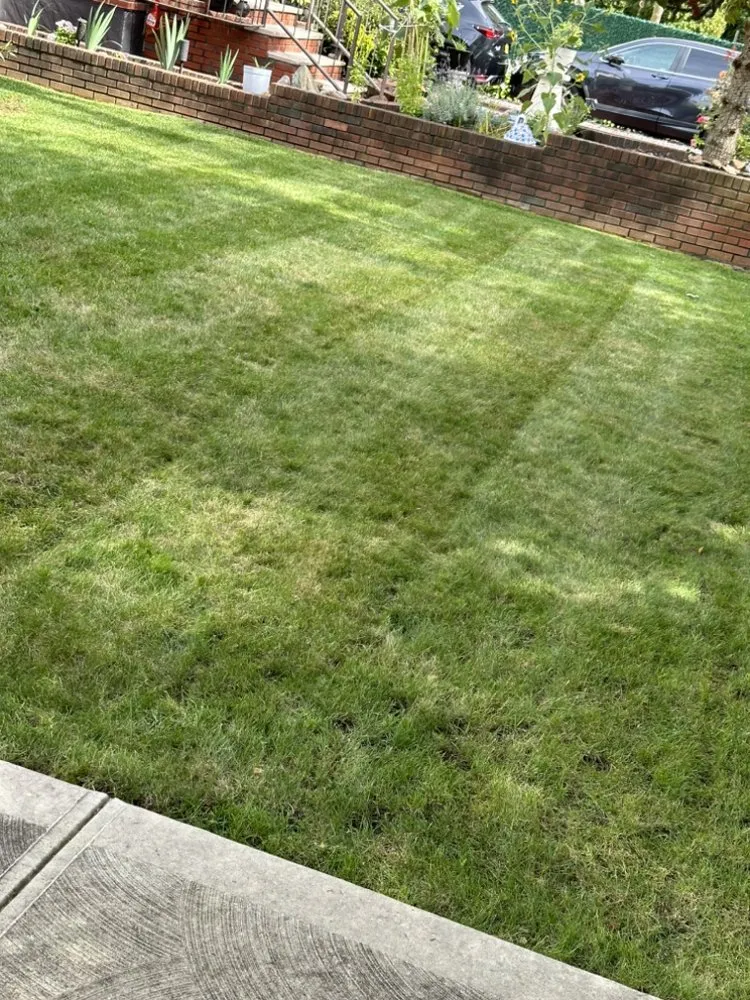 Professional lawn mowing service near you across Staten Island, NY - Danny’s Landscaping