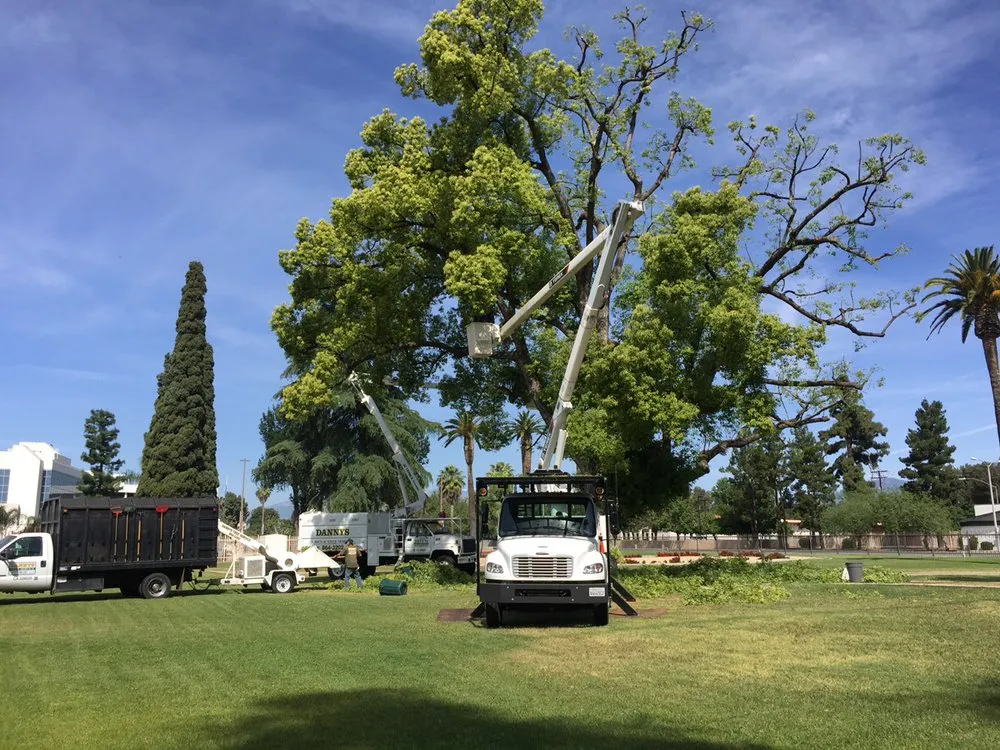 Local landscape design experts serving San Bernardino, CA - Danny's Lawn & Tree Service