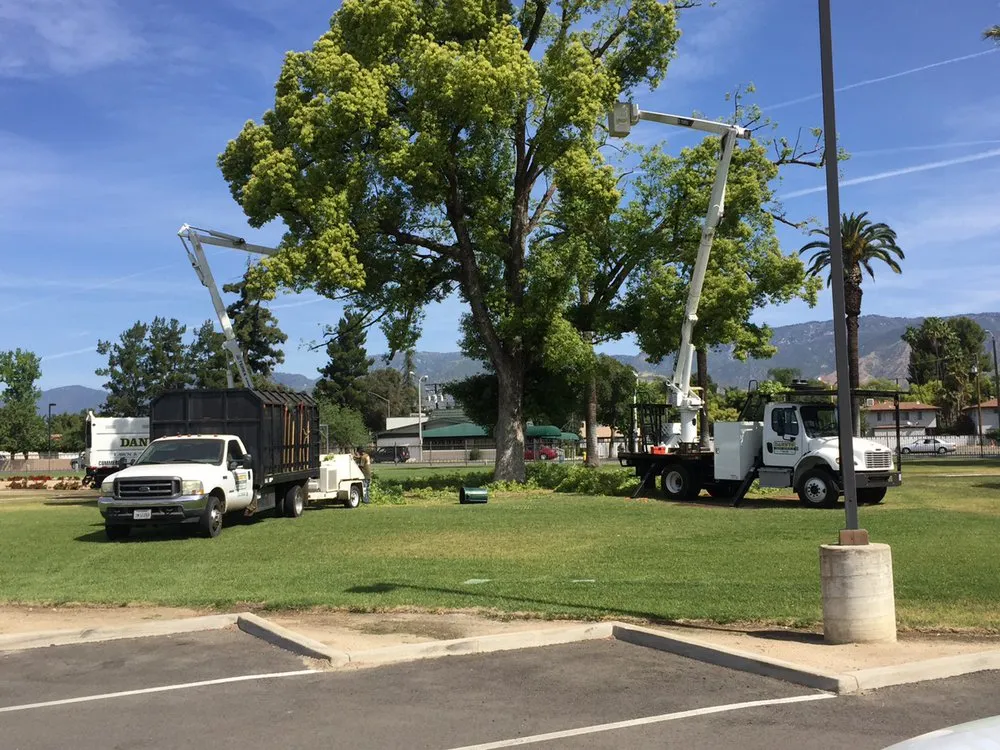 Expert landscape design in San Bernardino, CA by Danny's Lawn & Tree Service