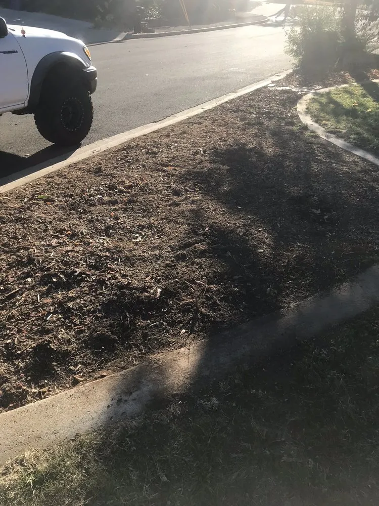 Custom lawn care service for outdoor upgrades across San Bernardino, CA - Danny's Lawn & Tree Service