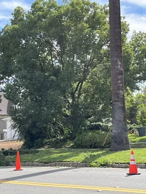 Danny's Lawn & Tree Service Logo