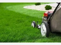 Danny’s Lawn Care & Snow Removal Logo