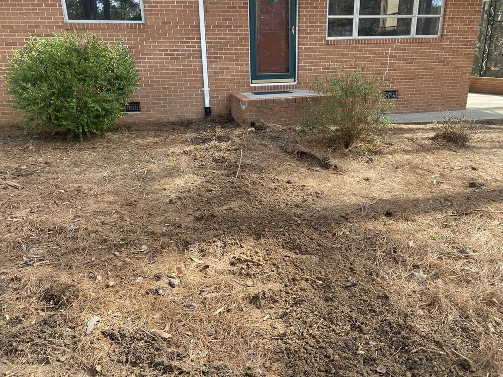 Top-rated outdoor landscaping in Durham, NC - Danny's Lawn Care