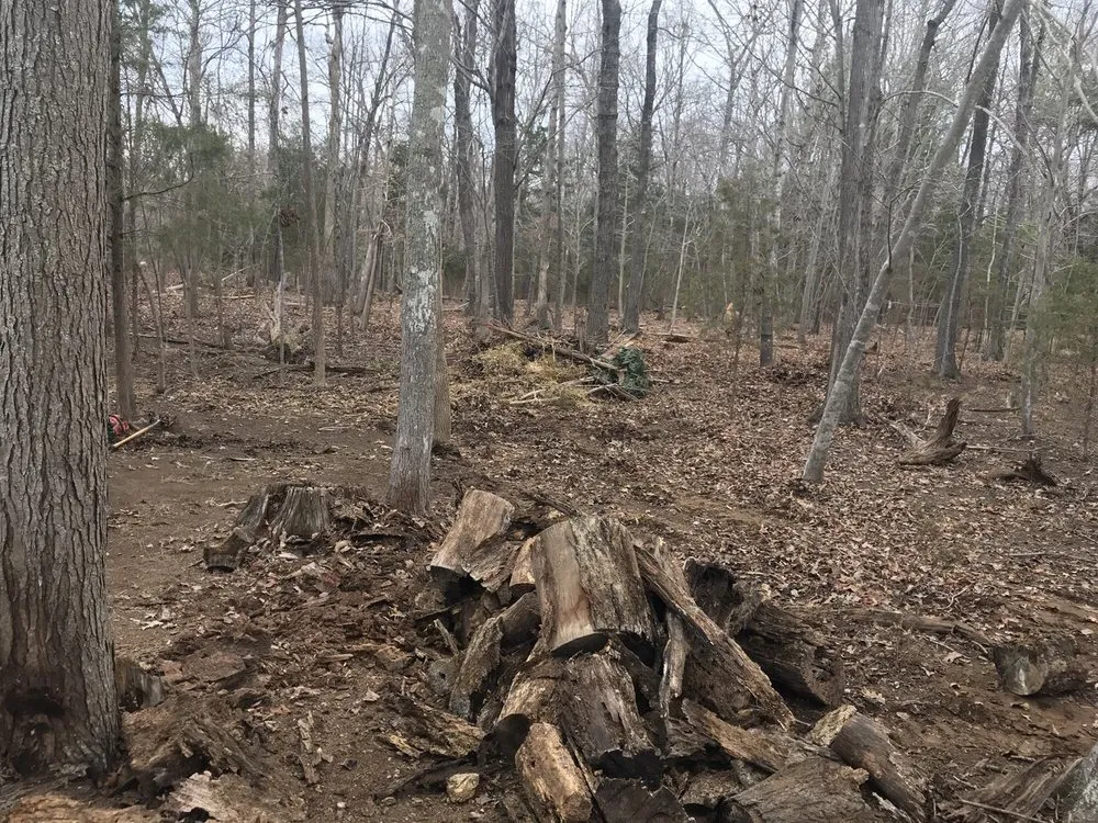 Expert residential landscaping with custom design in Durham, NC by Danny's Lawn Care