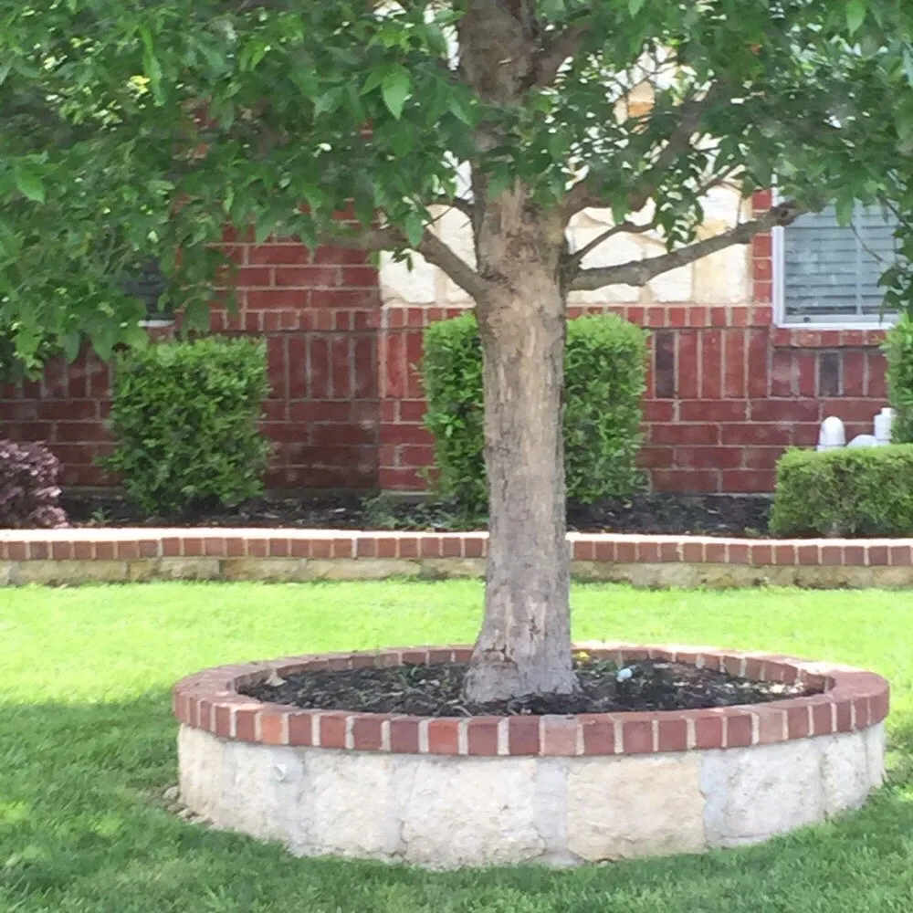 Expert garden landscaping for residential properties across Arlington, TX - Danny's Lawn Care Service