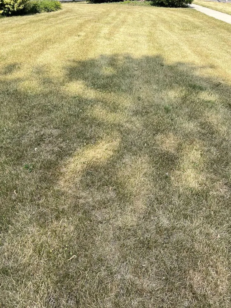 Local residential landscaping near you in Hoffman Estates, IL by Danny's Lawn Care Service