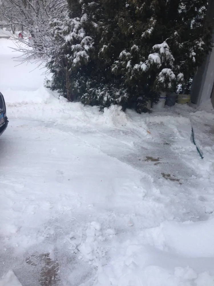 Custom lawn mowing service in Hoffman Estates, IL by Danny's Lawn Care Service