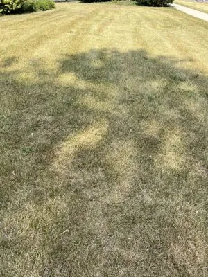 Danny's Lawn Care Service