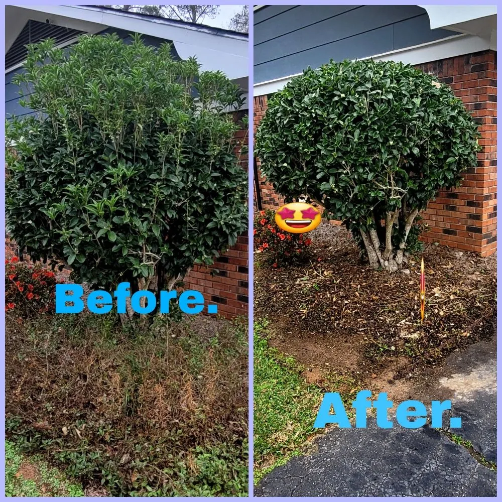 Professional landscape design experts serving Laurel, MS - Danny's Lawn Care Service