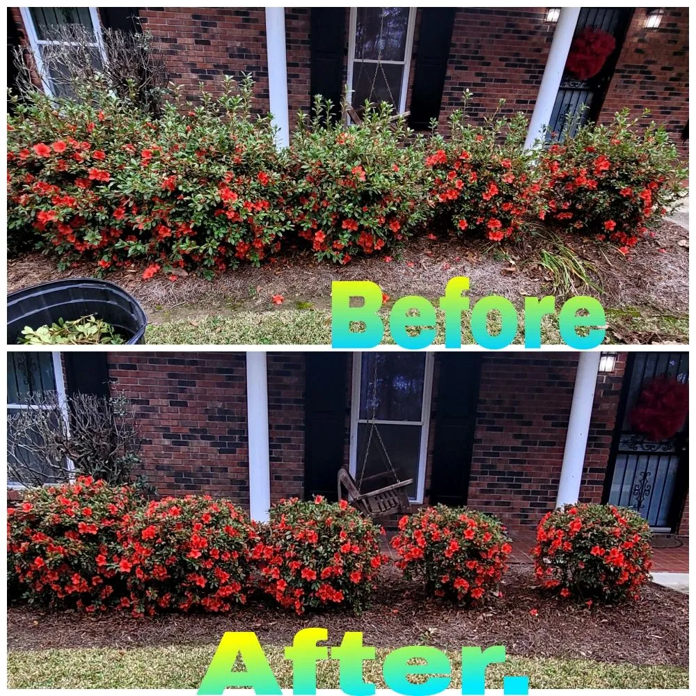 Reliable lawn care service in Laurel, MS by Danny's Lawn Care Service