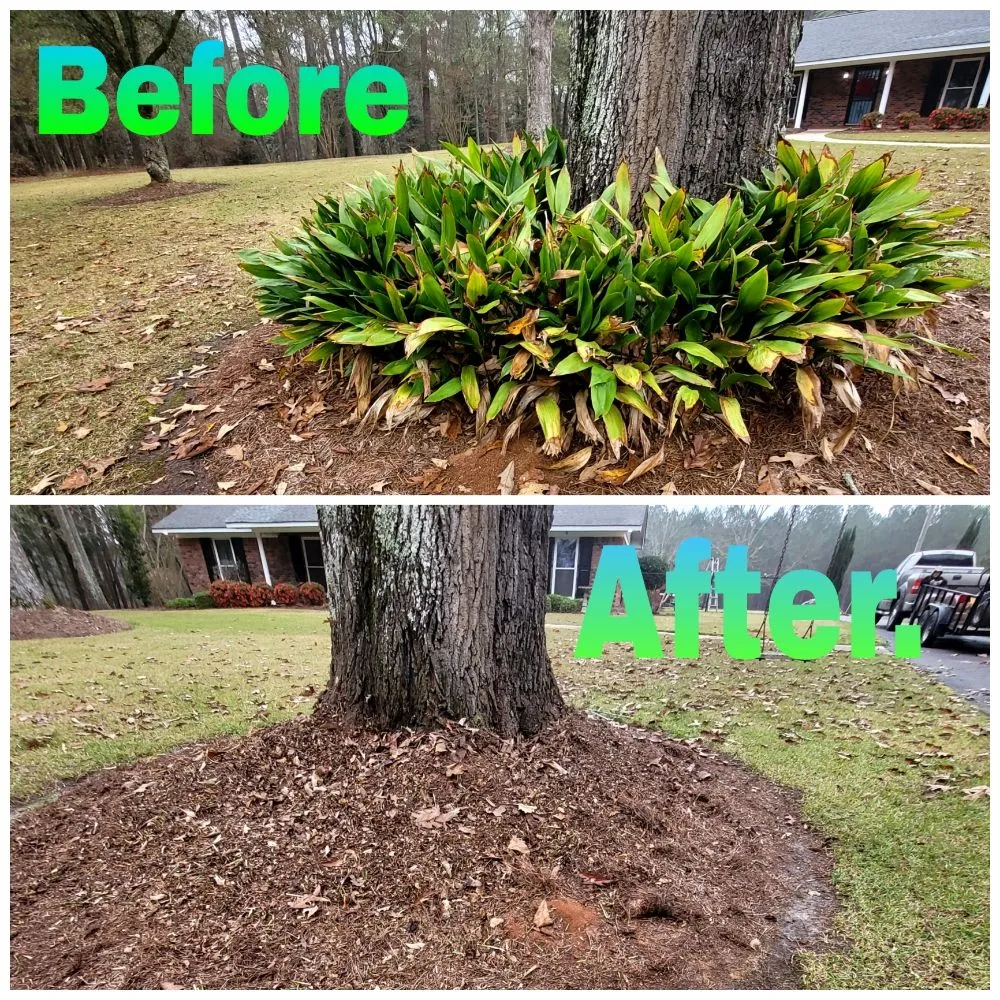 Custom lawn mowing service for year-round maintenance across Laurel, MS - Danny's Lawn Care Service