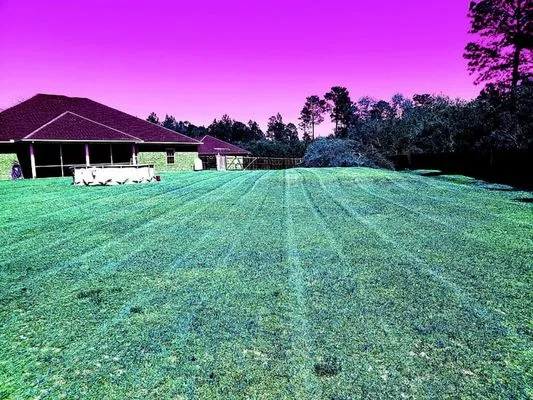 Dannys Lawn Care Logo