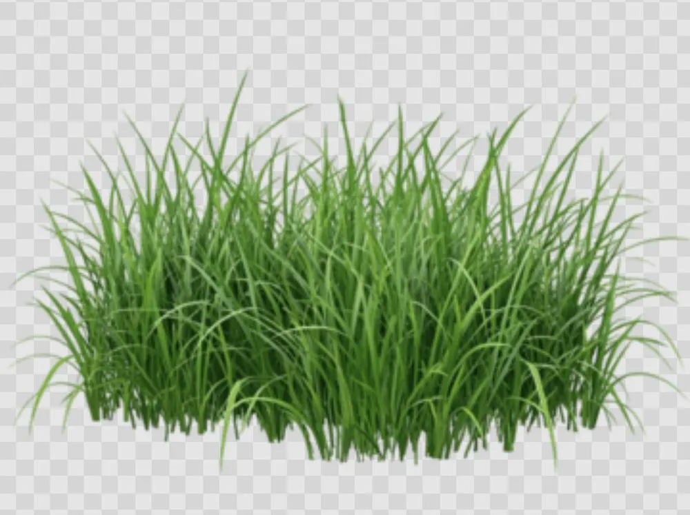 Reliable landscaping services for outdoor upgrades across Nashville, NC - Danny’s Lawn Cutting Service