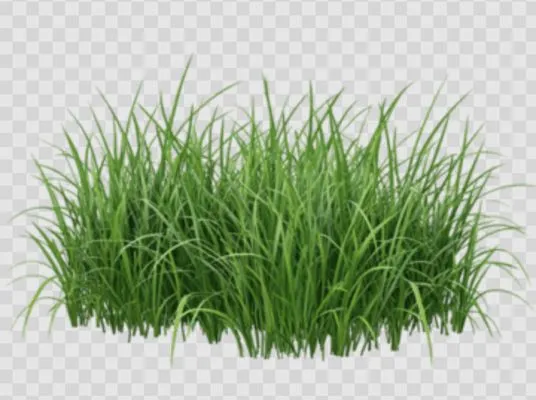 Danny’s Lawn Cutting Service Logo