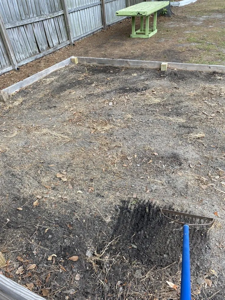 Professional yard maintenance for beautiful yards in La Grange, NC by Danny’s Lawn Services