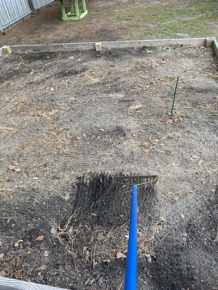 Expert yard cleanup service in La Grange, NC by Danny’s Lawn Services