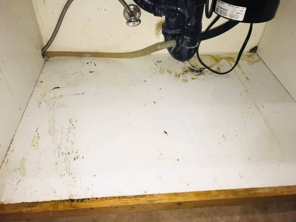 Affordable yard maintenance for year-round maintenance in Sacramento, CA by Danny’s LS