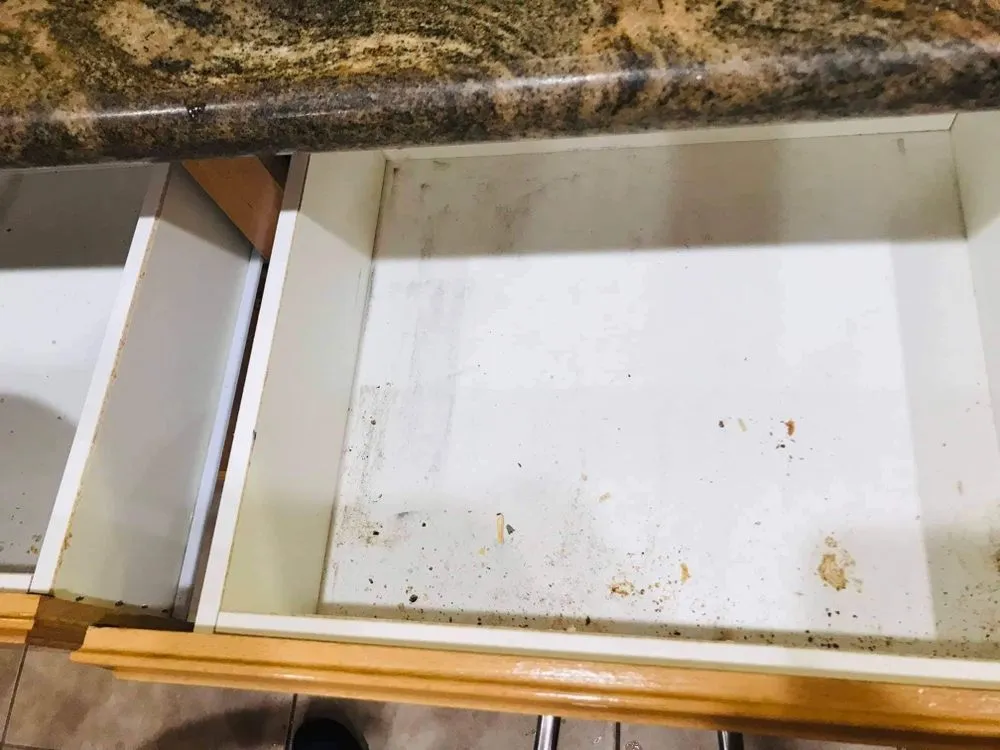 Reliable landscape design for residential properties across Sacramento, CA - Danny’s LS