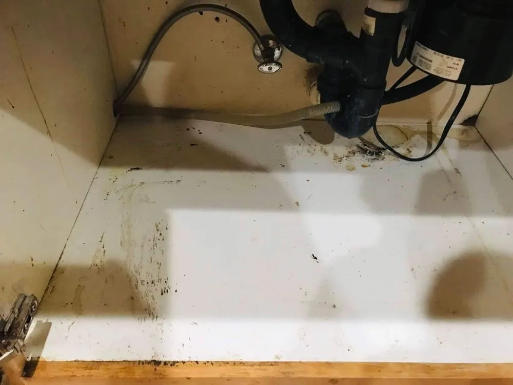 Local landscaping services experts serving Sacramento, CA - Danny’s LS