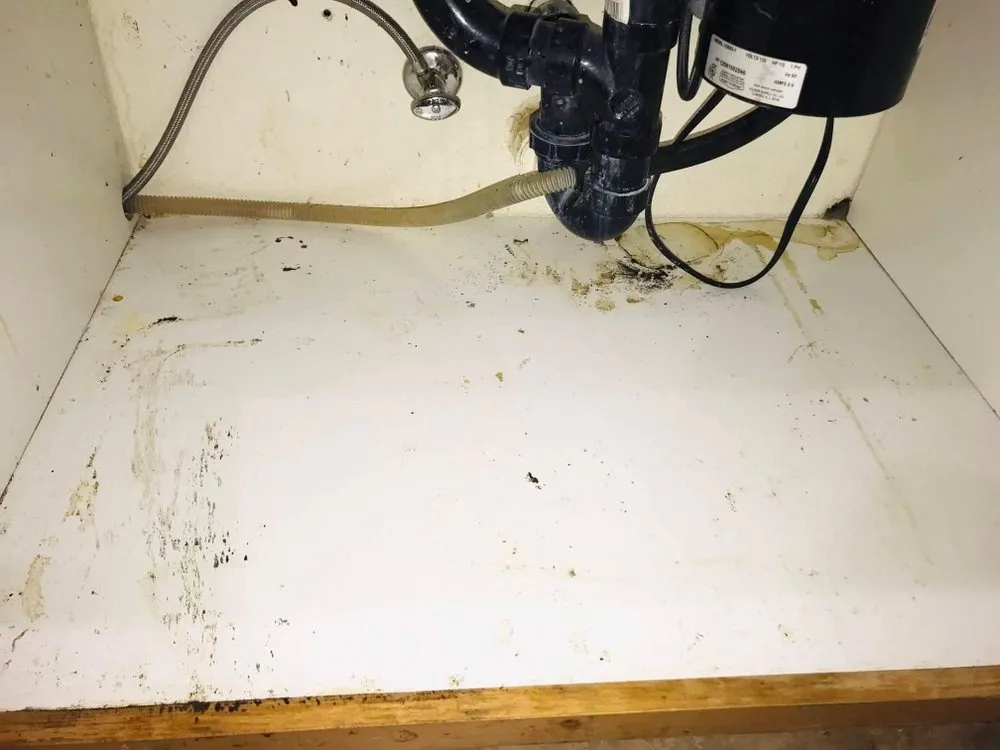 Reliable garden landscaping in Sacramento, CA by Danny’s LS