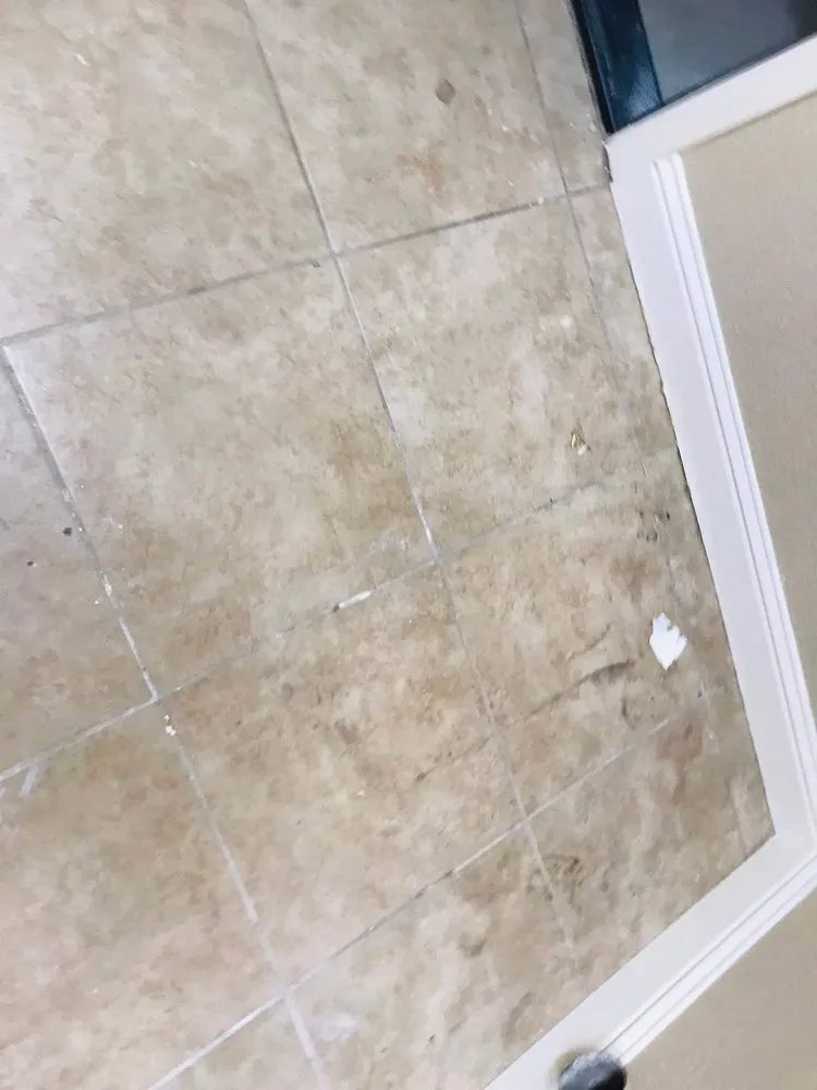 Affordable outdoor landscaping experts serving Sacramento, CA - Danny’s LS