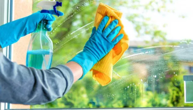 Trusted yard cleanup service for beautiful yards across Sacramento, CA - Danny’s LS