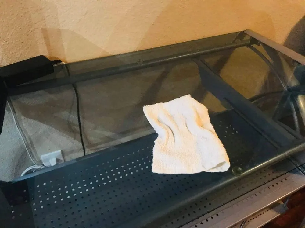 Local landscape design for beautiful yards across Sacramento, CA - Danny’s LS