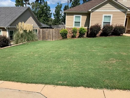 Danny's Mowing and Maintenance Logo