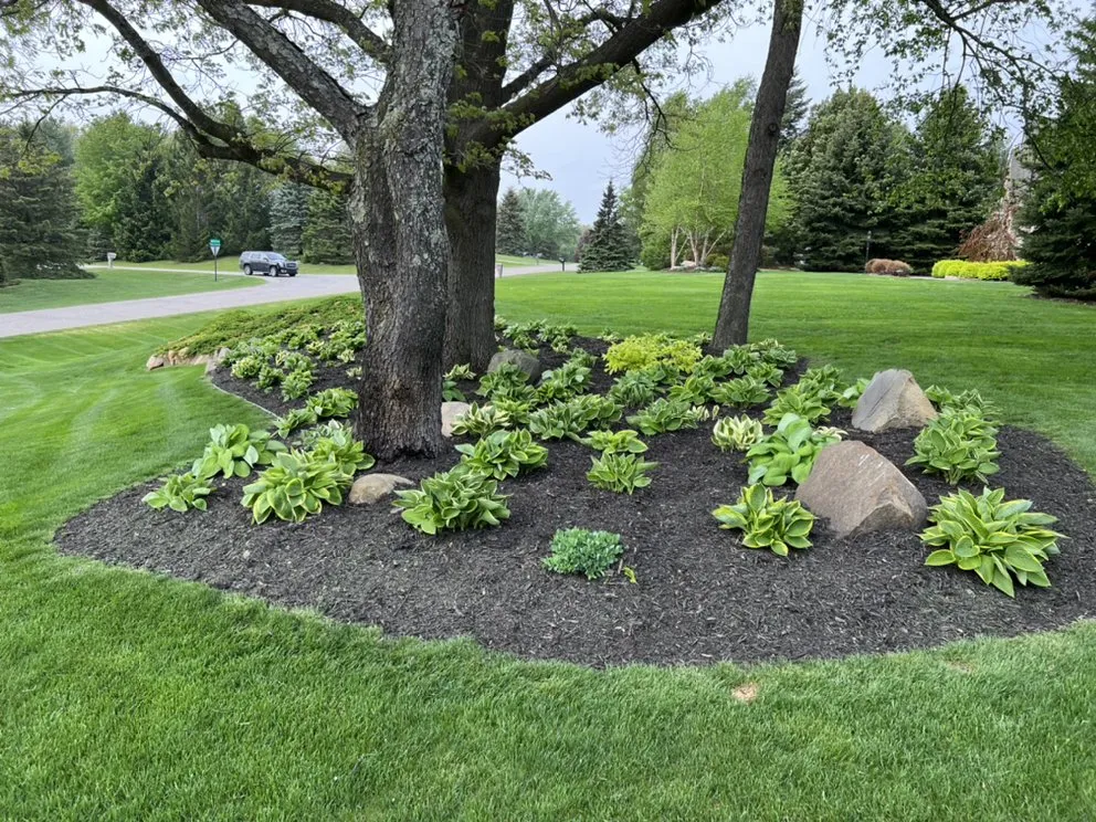 Reliable yard cleanup service in Metamora, MI - Danny’s Pro Landscaping