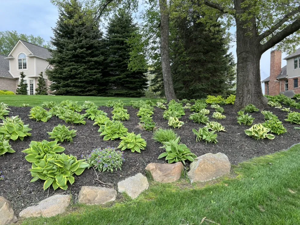 Custom yard maintenance for homes in Metamora, MI by Danny’s Pro Landscaping