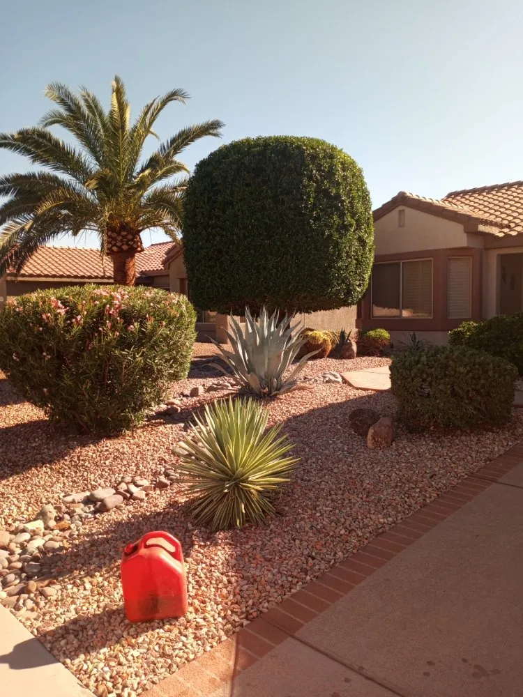 Trusted landscape installation in Surprise, AZ - Danny's Tree & Landscaping