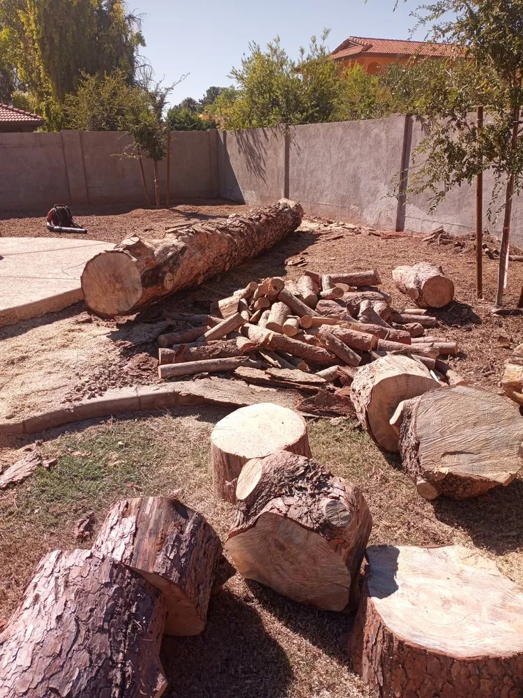 Affordable yard cleanup service in Surprise, AZ - Danny's Tree & Landscaping
