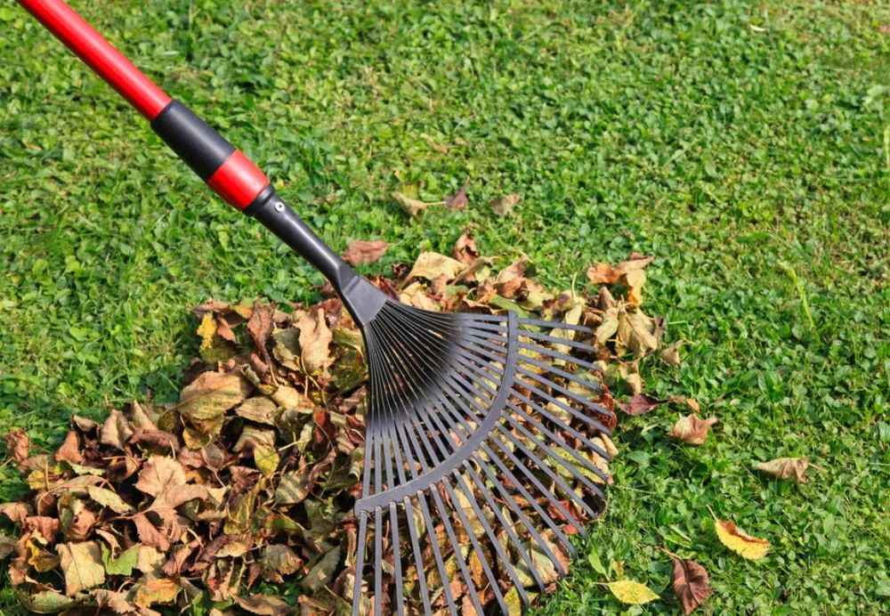 Reliable residential landscaping in San Jose, CA - Danny’s Yard Clean Up