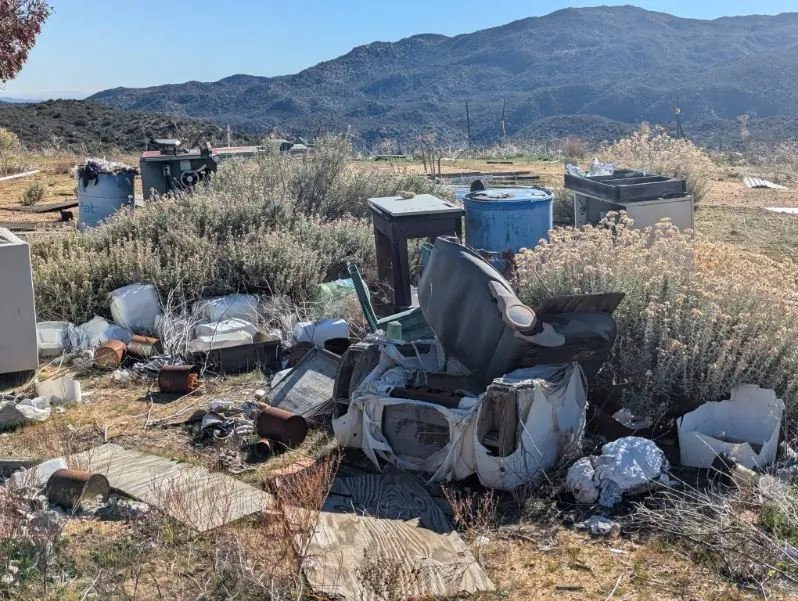 Professional yard cleanup service in Anza, CA - Danny's Yards