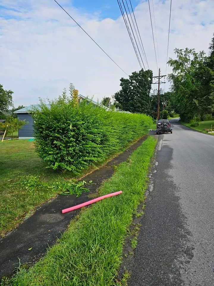 Affordable outdoor landscaping experts serving Hyde, PA - Dano's Lawn Care