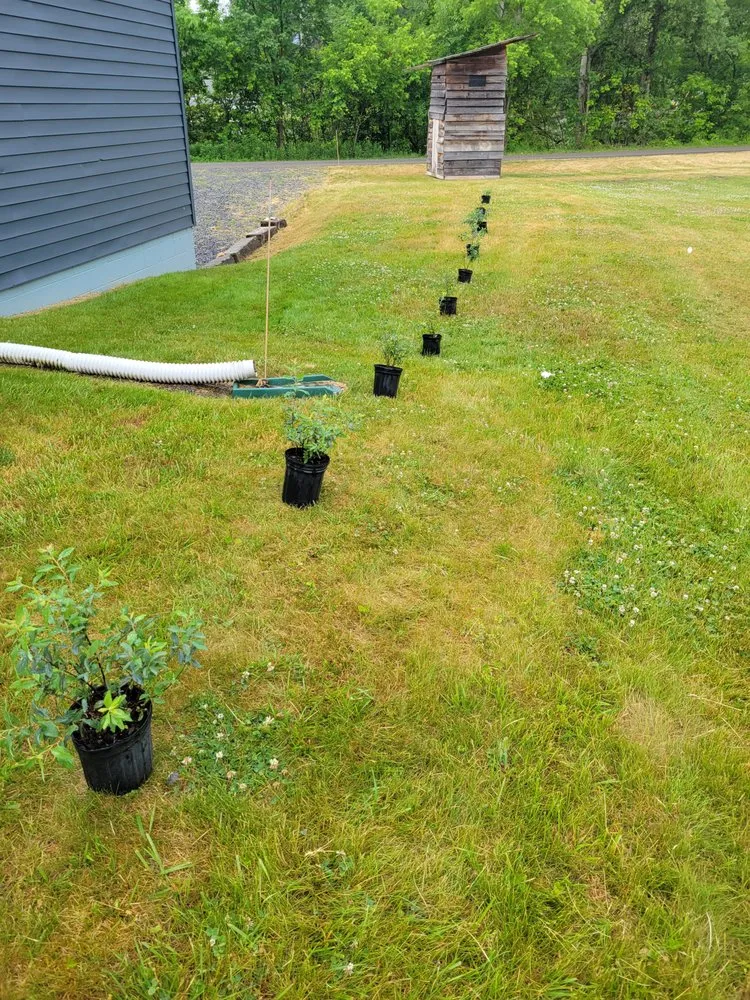 Top-rated yard cleanup service in Hyde, PA by Dano's Lawn Care
