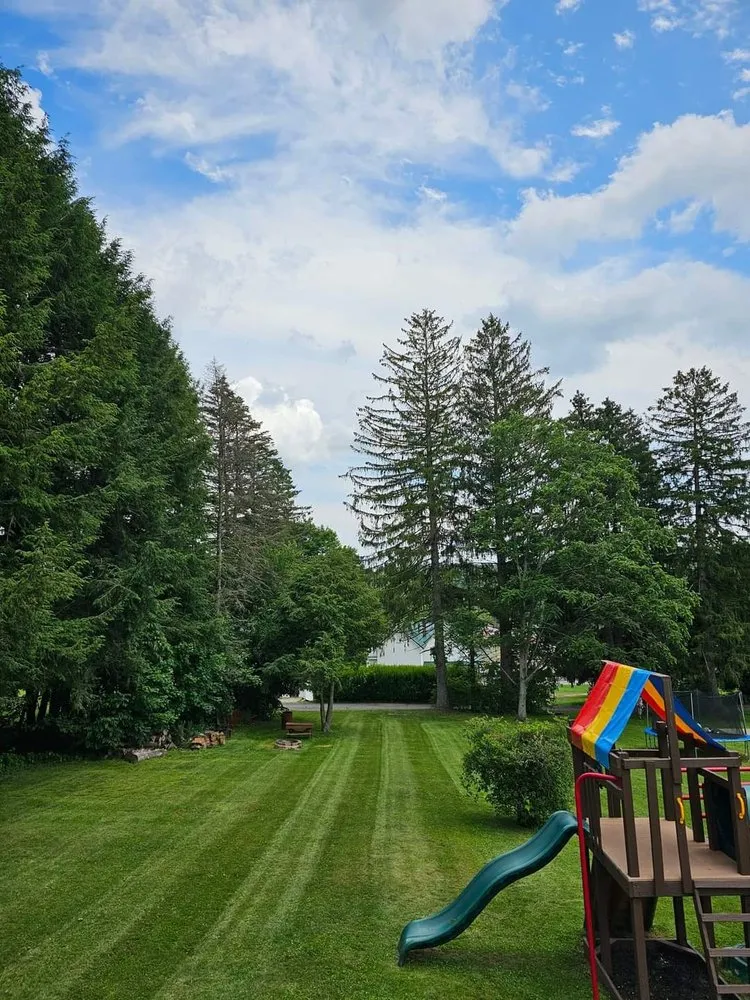 Affordable yard maintenance experts serving Hyde, PA - Dano's Lawn Care